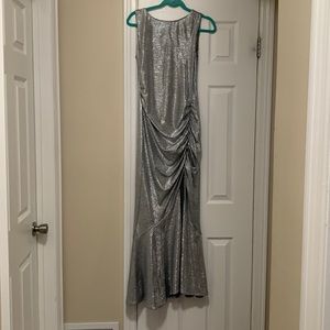 Silver Gown. Worn once